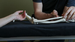 Handtherapie